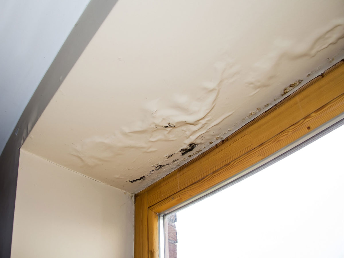 Humidity Damage Roof Repair - commercial roofing in Richmond, VA